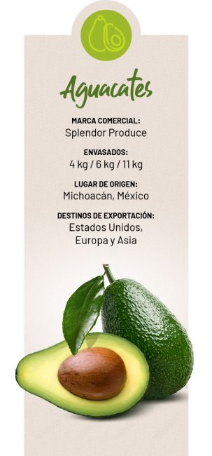 productos-aguacates-3