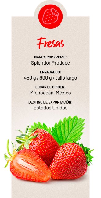 productos-fresas-3